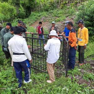 Tanggulangi Gangguan Harimau, Pemprov Sumsel Pasang 8 Kamera dan Box Trap