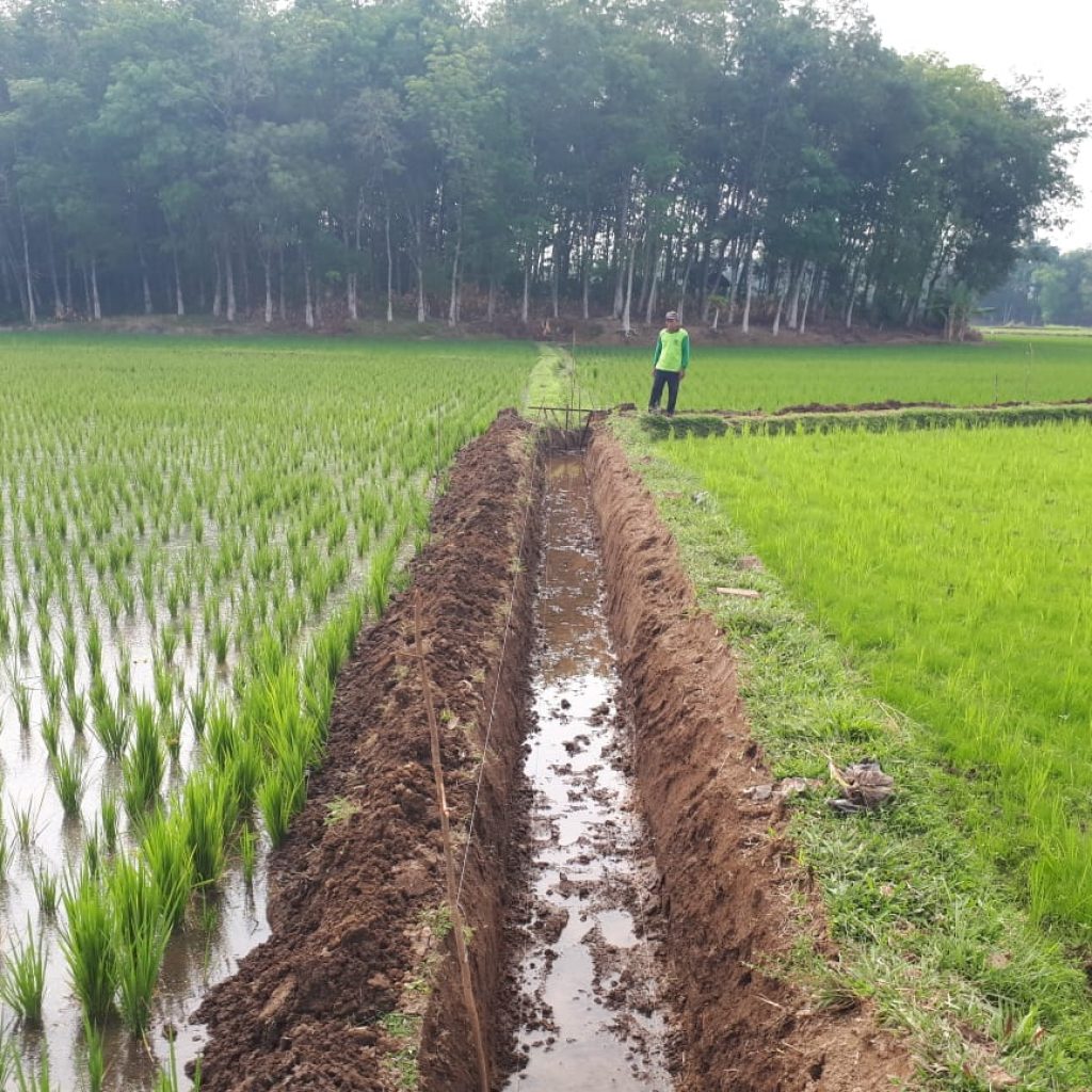 Kejar Produktivitas Hasil Panen, Sumsel terus Optimalkan Jaringan Irigasi