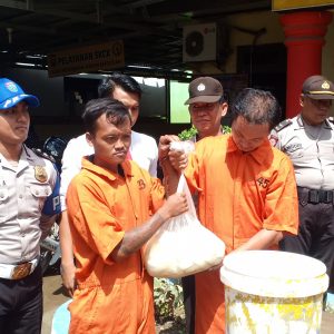 Pemilik Pabrik Tahu Formalin Ditangkap Polsek Talang Kelapa
