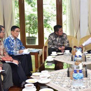 Mentan Tawari Sumsel Ekspor 100 Ribu Ton Daging Pertahun