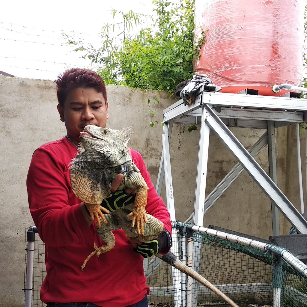 Pria Ini Hasilkan Omzet Jutaan Rupiah Dari Hobi Pelihara Iguana
