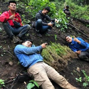Tiga Hektare Ladang Ganja Ditemukan di Kota Pagaralam