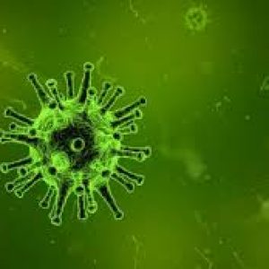 Ini Cara Membunuh Virus di Dalam Tubuh?