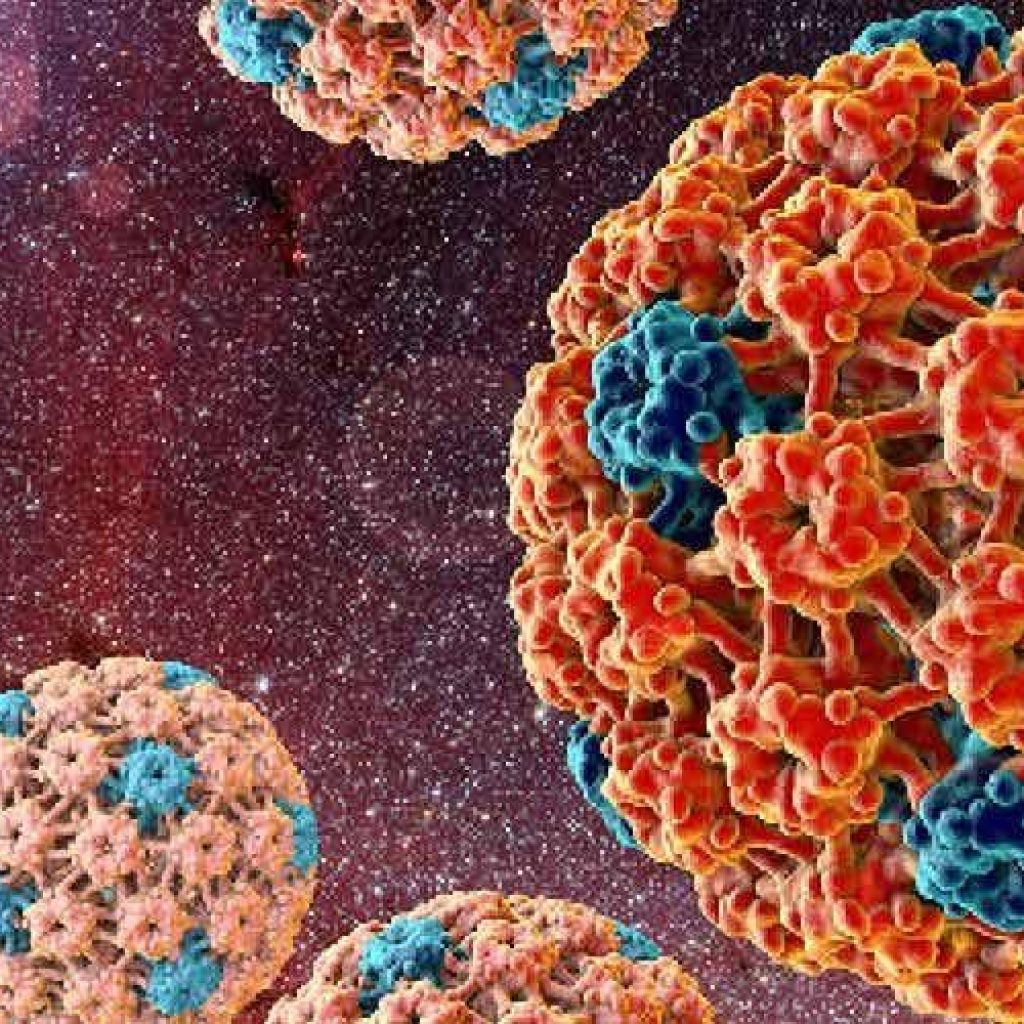 2 Bulan di Palembang, Mahasiswi Asal Belanda Dinyatakan Negatif Korona