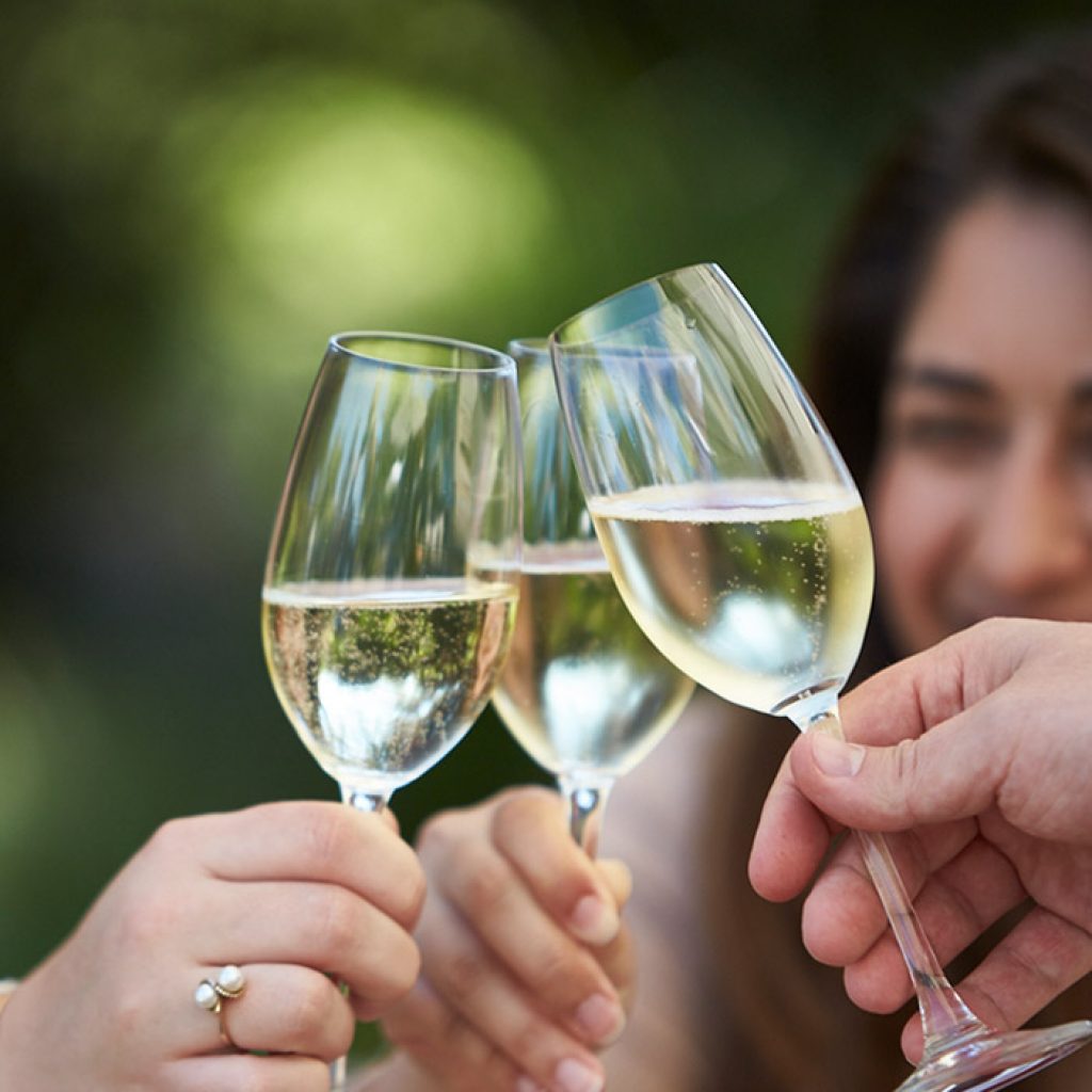 Apa Benar,Minum Wine Bisa Memperpanjang Umur?