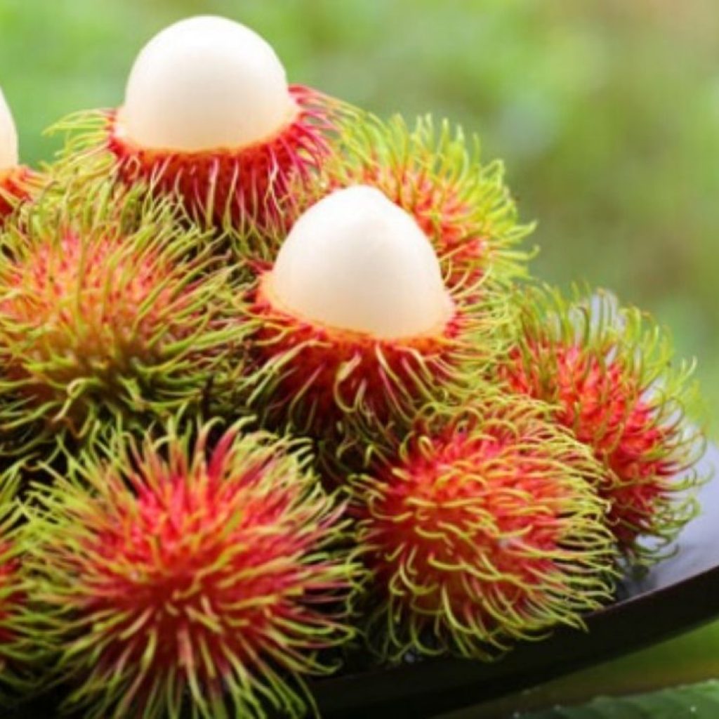 Buah Super Yang Bisa Membuat Sistem Kekebalan Tubuh Kita Meningkat