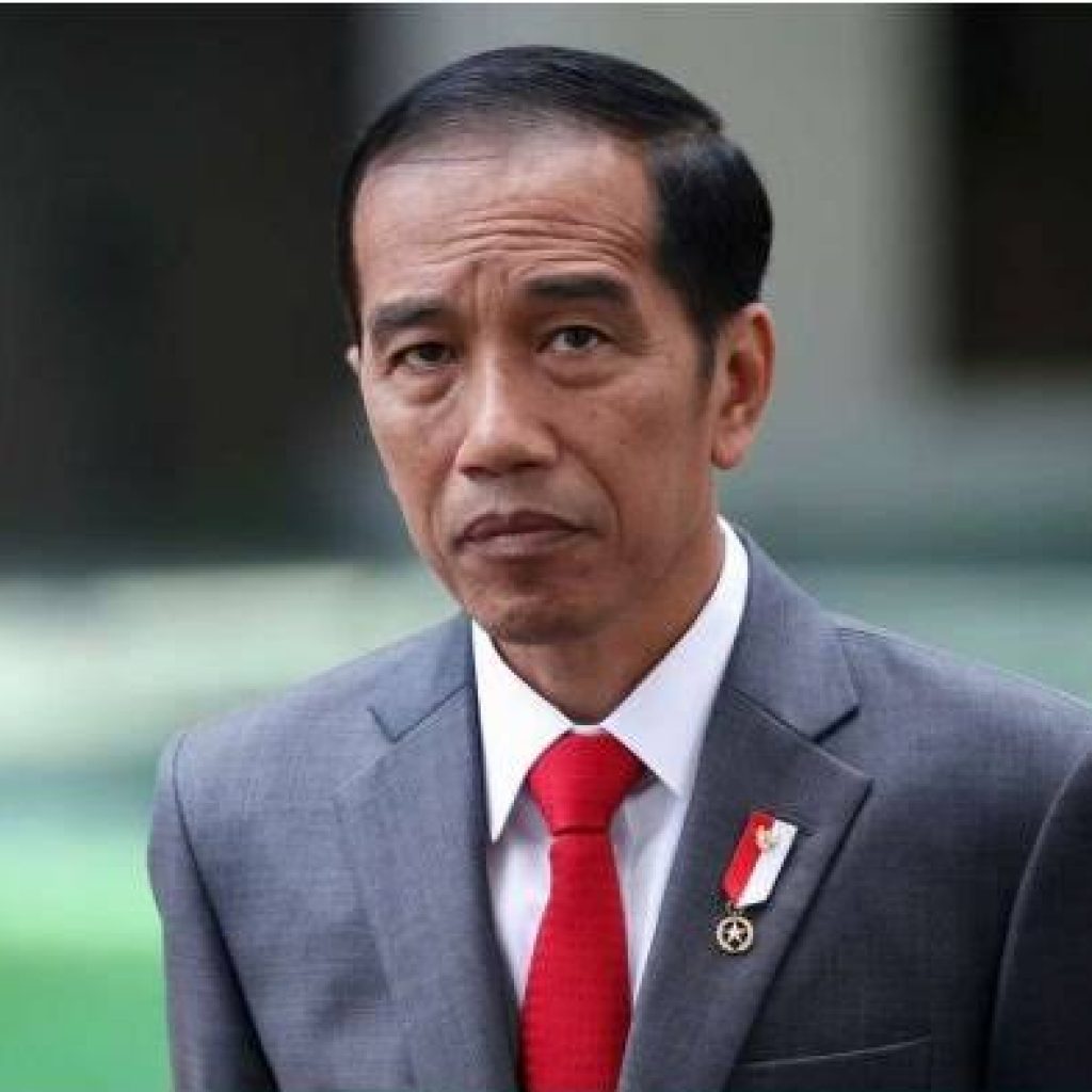 Jokowi Pastikan WNI di Kapal Diamond Princess Dapat Protokol Kesehatan Standar WHO