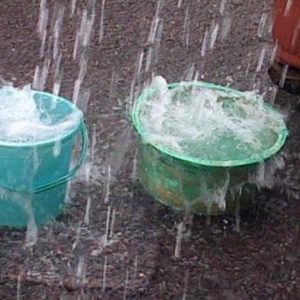 Apakah Air Hujan Aman Dikonsumsi?