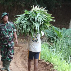 Naluri TNI, Anggota Satgas Tawarkan Bantuan Ke Mbah Warno