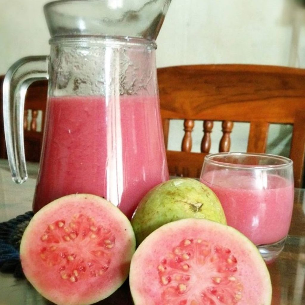 Cara Memilih Jus Jambu yang Efektif Atasi DBD