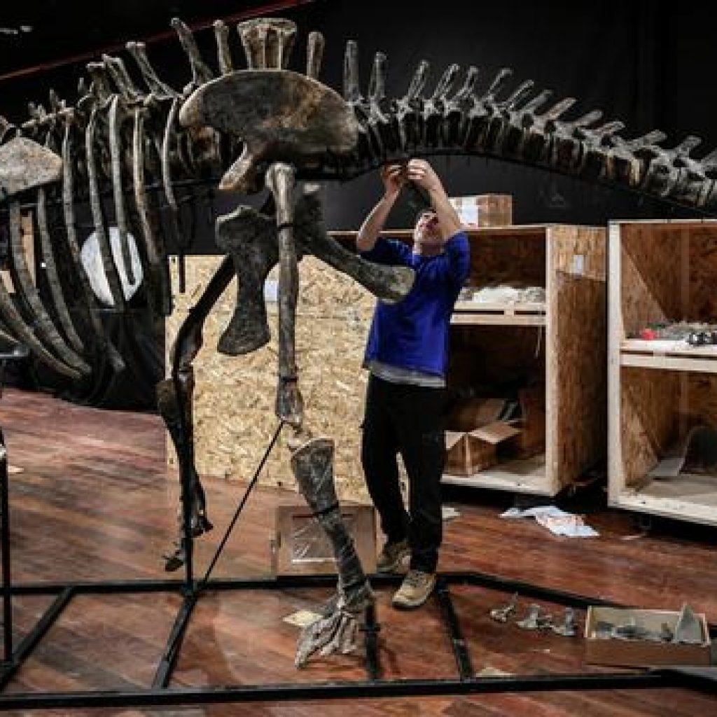 Fosil Dinosaurus Berbulu Usia 67 Juta Tahun Ditemukan Di New Mexico