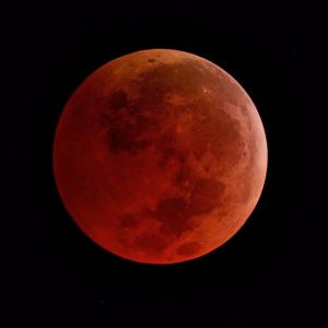 Fenomena Purnama Super Pink Moon Malam Ini