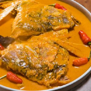 Mitos atau Fakta,Santan Sebabkan Kolesterol Tinggi?