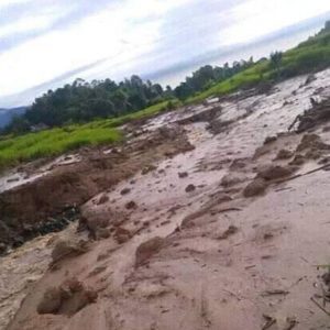 Diterjang Longsor 10 Hektare Sawah di Muara Enim Terancam Gagal Panen