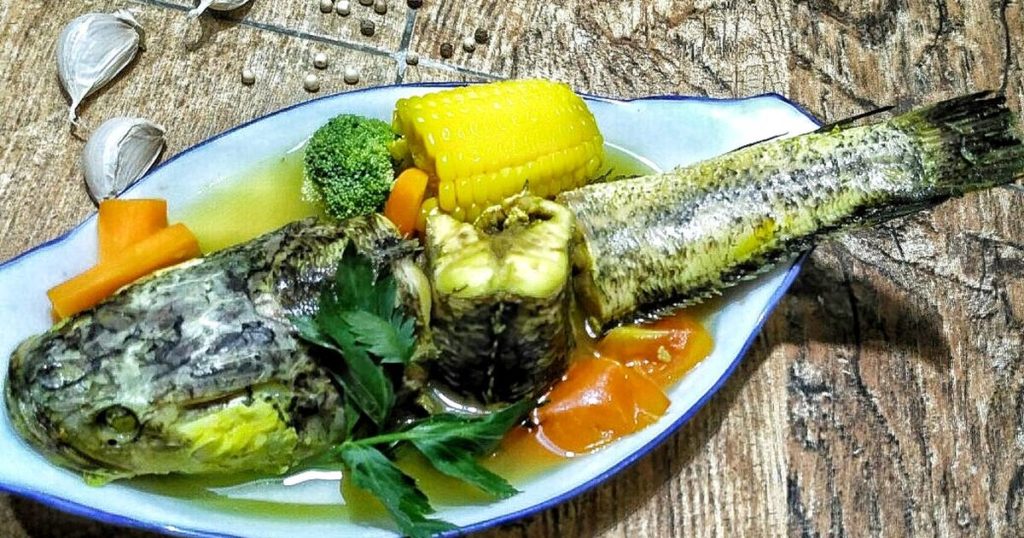 Manfaat Ikan Gabus Bagi Kesehatan