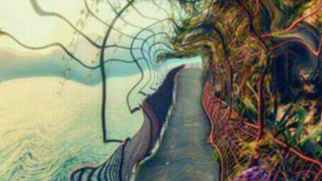 Apa Bedanya,Delusi dan Halusinasi?