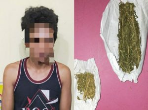 Pengedar Ganja Di Ringkus Polres Empat Lawang