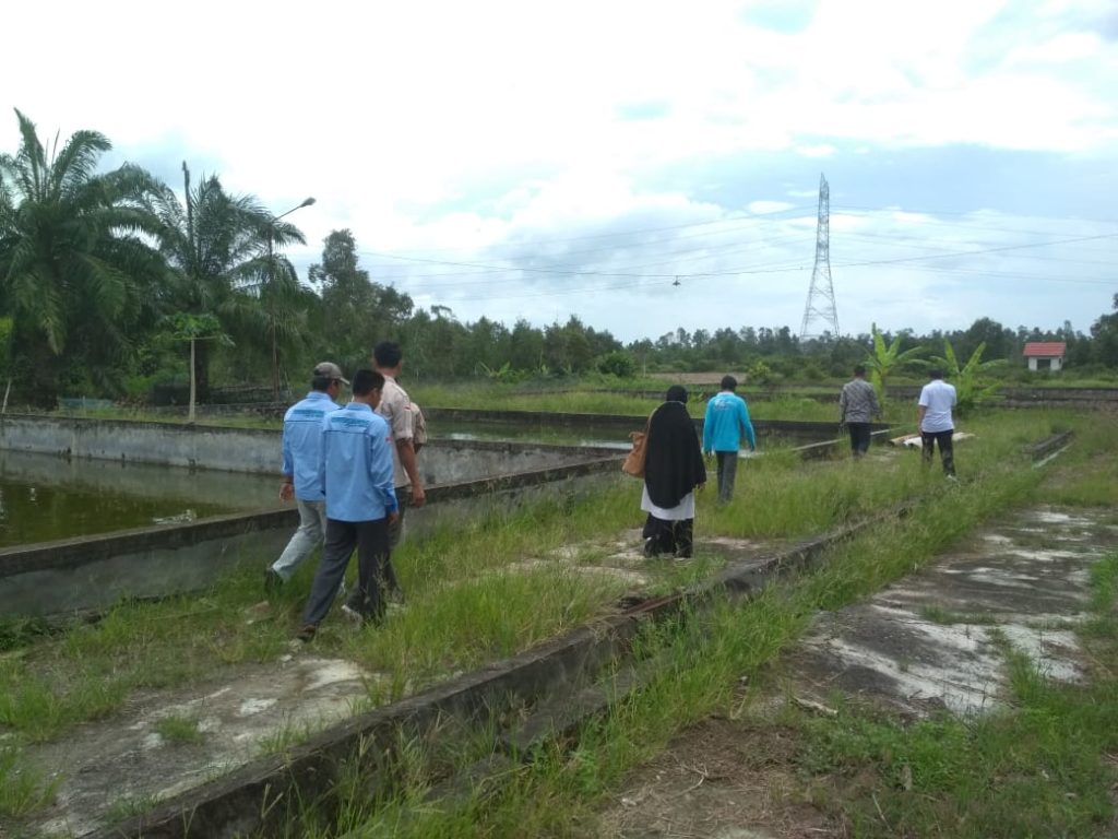 Gandeng Swasta, Dinas Perikanan Muba Siapkan Bibit Unggulan
