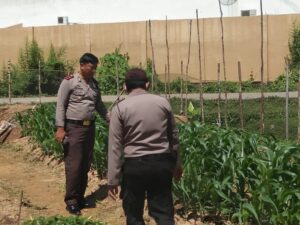 Polsek Sekayu Manfaatkan Lahan Kosong Untuk Penghijauan