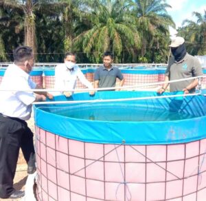 Bappeda dan Dinas Perikanan Muba Jajaki Program Plasma Lele