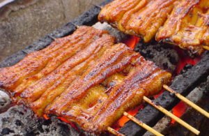 Ini Khasiat Daging Belut Ternyata Menakjubkan