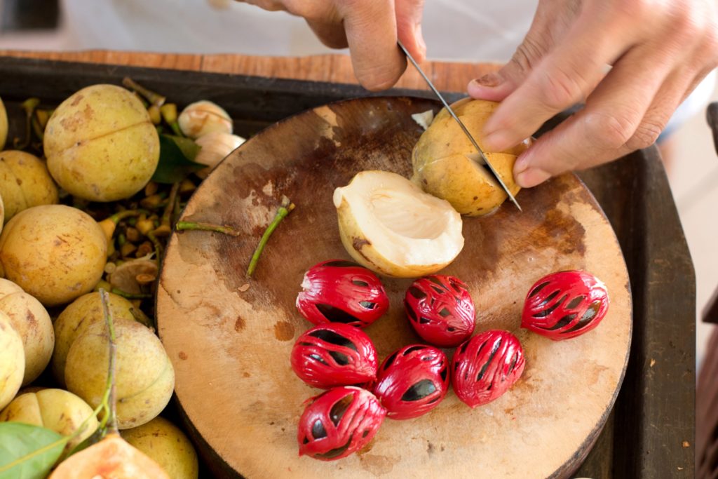 10 Manfaat Buah Pala Yang Perlu Kita Ketahui