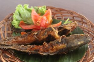 Ini 5 Manfaat Ikan Lele Untuk Kesehatan Kita