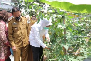 Wawako Palembang Himbau Masyarakat Untuk Manfaatkan Pekarangan Rumah