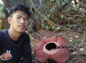 Warga Temukan Bunga Raflesia di Hutan Muara Enim