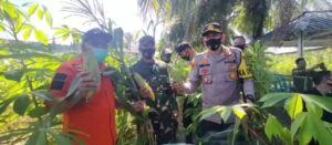 Dandim 0405 Lahat Lakukan Panen Jagung