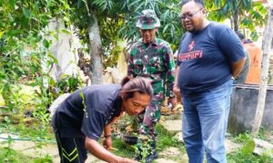Mantan Danton Yang Kepincut Bonsai Sepulang Tugas TMMD