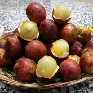 Matoa, Buah Langka Asal Papua yang Super Lezat dan Banyak Manfaat Nya