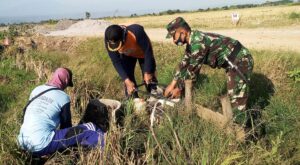 Bahu Membahu Sukseskan TMMD, TNI Bersama Warga Kompak Bantu Cari Sumber Air