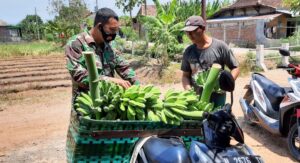 Berkah Penjual Gorengan di Lokasi TMMD