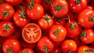 Manfaat Buah Tomat Merah Yang Perlu Kita Ketahui