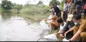 Tebar Bibit Ikan, Walikota Pagaralam : Jaga Kearifan Lokal
