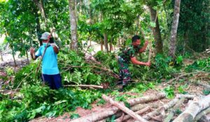 Anggota Satgas TMMD Bantu Warga Potong Pohon Roboh