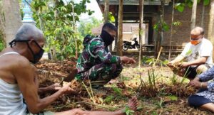 Satgas TMMD Karanganyar Membantu Warga Panen Lengkuas