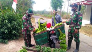 Anggota Satgas TMMD Bantu Warga Angkat Hasil Panen Pisang