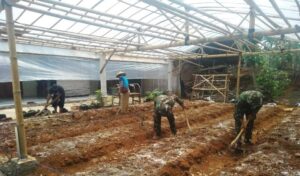 Berkat TMMD 109, Warga Jatiwarno Warga Rame-Rame Tanam Empon-Empon