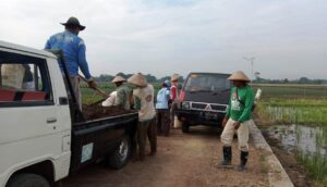 Kerahkan Dua Mobil L300 Untuk Langsir Urugan Jalan TMD