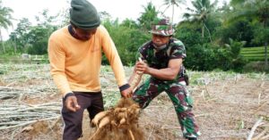 Kekompakan Warga dan Anggota Satgas TMMD
