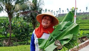 Berkat TMMD Karanganyar, Cari Pakan Ternak Jadi Lancar