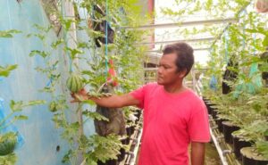 Di Tengah Pandemi Warga Bantaran Sungai Musi Tetap Produktif