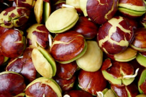 Benarkah Jengkol Punya Khasiat Untuk Penyakit Jantung