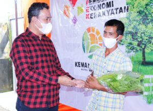Wabup Beni Dorong Urban Farming Untuk Muba Berdaulat Pangan