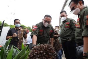 Lelang Karet di Muba Bisa Secara Online