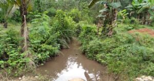 Imbas Limbah Perusahaan Batubara, Sungai Di Muara Lawai Tercemar