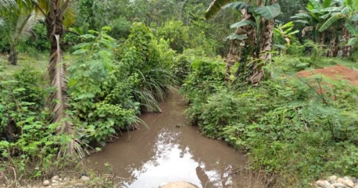 Imbas Limbah Perusahaan Batubara, Sungai Di Muara Lawai Tercemar