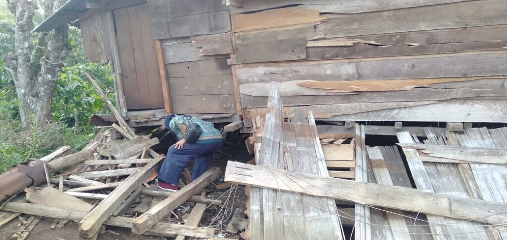 Gajah Liar Kembali Masuk Pemukiman Warga Di OKU Selatan, Rusak Pondok Hingga Tanaman Petani